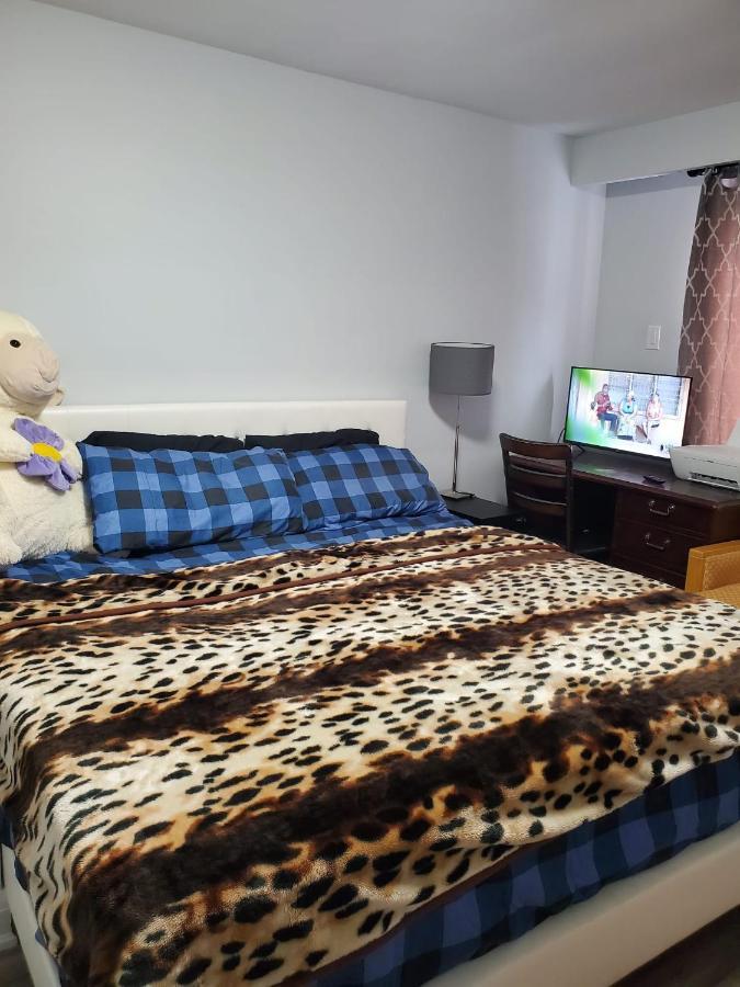 Maxwell Esabu Apartment Toronto Ngoại thất bức ảnh
